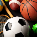 Sports and Recreation